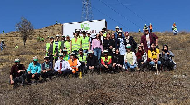 Kyk'dan fidan dikimi