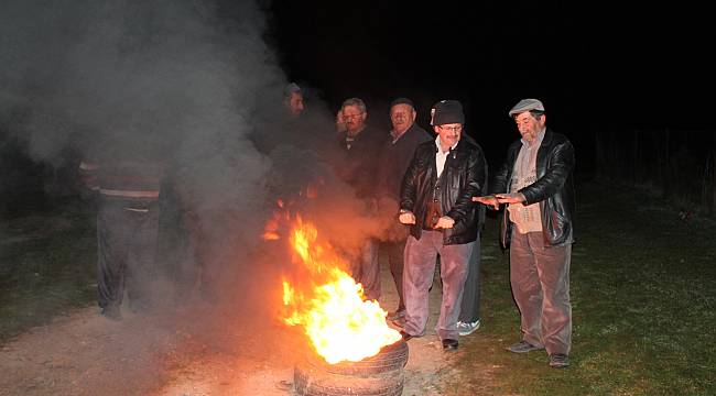 Arı kovanlarını ayılardan korumak için nöbet tutuyorlar
