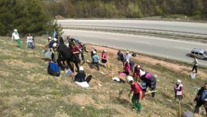 Bilim ve Sanat Merkezi öğrencilerinden hatıra ormanı