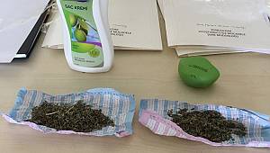 Şampuan kutusuna gizlenmiş bonzai bulundu