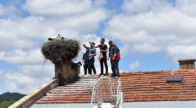 Anneleri ölen yavru leyleklere, belediye ve mahalleli sahip çıktı
