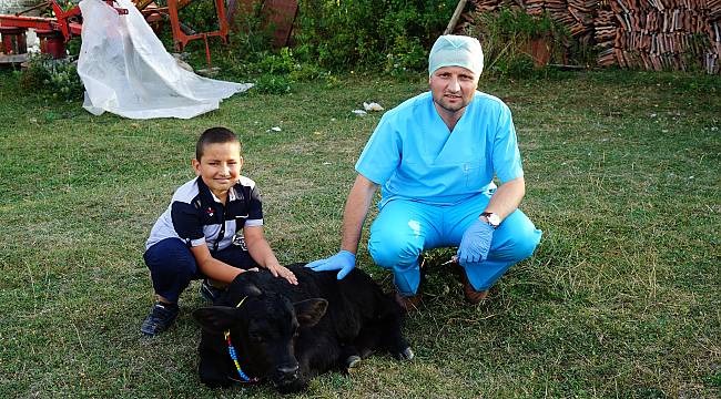 109 kilo ağırlığında doğan buzağı görenleri şaşırttı