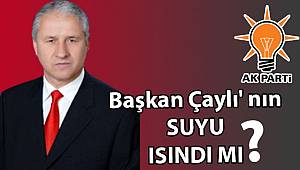 Başkan Çaylı' nın SUYU ısındı mı ?