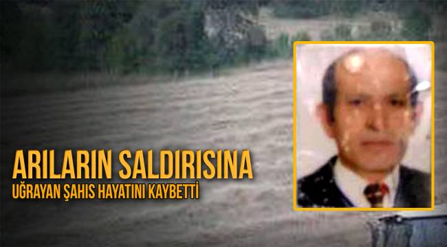 Arıların saldırısına uğrayan şahıs hayatını kaybetti