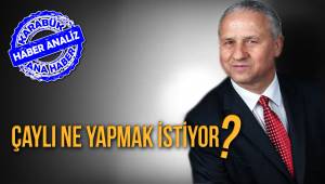 Çaylı Ne Yapmak İstiyor?