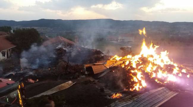 Kastamonu'da yangında 800 saman balyası yandı