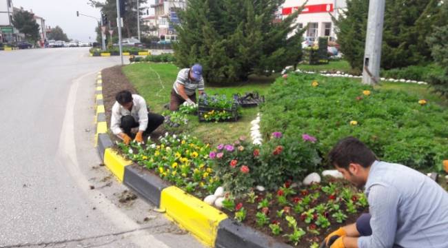 Safranbolu Çiçek Açtı