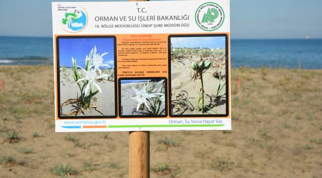 Bu bitkiyi koparmanın cezası 38 bin 751 lira