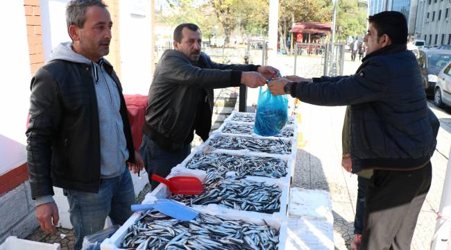Hamsinin kilosunu 2 liradan sattılar