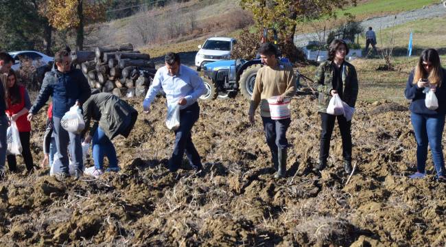 Üreten gençlik oldular, tarlaya buğday ektiler
