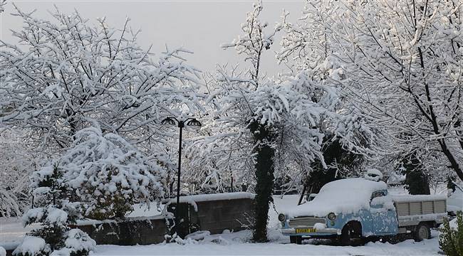 Meteorolojiden Batı Karadeniz'e zirai don uyarısı