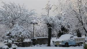 Meteorolojiden Batı Karadeniz'e zirai don uyarısı