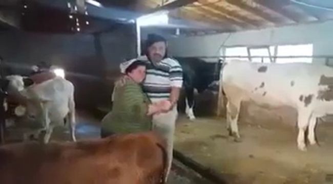 Ahırda şarkı söyleyip, dans eden çift sosyal medyada fenomen oldu