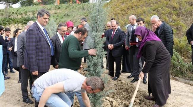 KBÜ'de şehitlerin anısına fidan dikildi.