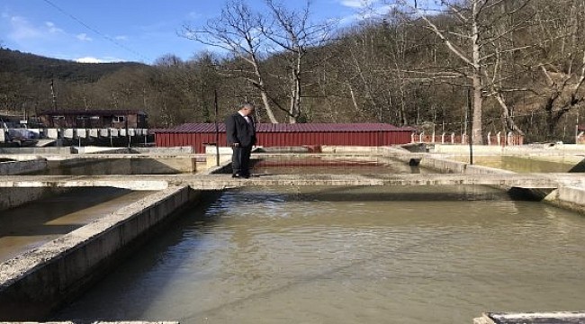 Tarım Müdürü Şahin, Balık üretim tesisinde incelemelerde bulundu