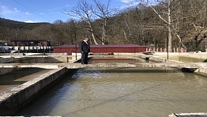 Tarım Müdürü Şahin, Balık üretim tesisinde incelemelerde bulundu