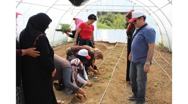 'Toprak İşleme Mesleki Eğitim Kursu' devam ediyor