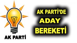 Akparti'de Aday Bereketi