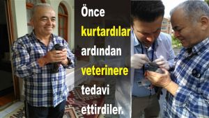 Ayağına dolanan iple ağaçta mahsur kalan güvercini vatandaşlar kurtardı
