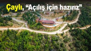 Çaylı,