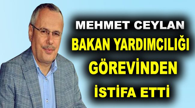 Ceylan, bakan yardımcılığı görevinden istifa etti