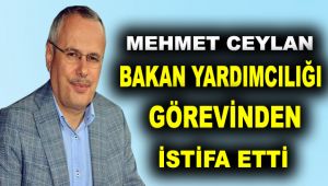 Ceylan, bakan yardımcılığı görevinden istifa etti