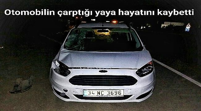 Otomobilin çarptığı yaya hayatını kaybetti