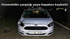 Otomobilin çarptığı yaya hayatını kaybetti