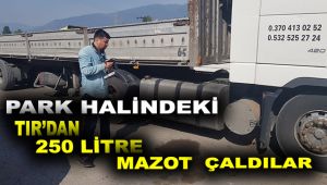 Park halindeki tırdan 250 litre mazot çaldılar