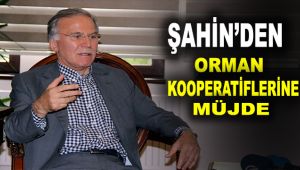Şahin'den orman kooperatiflerine müjde