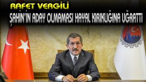 Başkan Vergili: