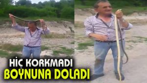 Hiç korkmadan boynuna doladı 