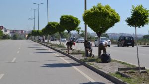 Karabük Belediyesinden Çevre Yolunda Refüj Temizliği