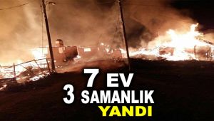 Kastamonu’da 7 ev ve 3 samanlık yandı 