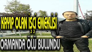 Kayıp olan işçi emeklisi ormanda ölü bulundu