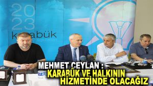 Mehmet Ali Ceylan: