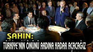 Şahin:
