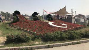 Türk Bayrağı Çiçek Açtı