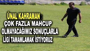 Ünal Karaman: