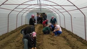 Yenice'de seracılık kursu açıldı