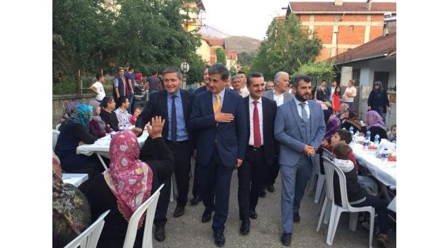 Güneş;