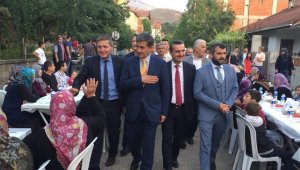 Güneş;