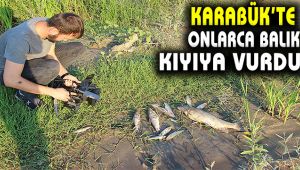 Karabük'te onlarca ölü balık kıyıya vurdu