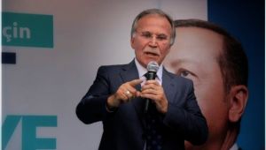 M.Ali Şahin,