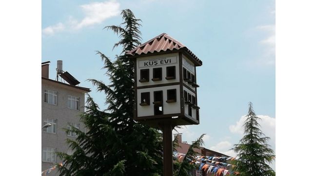 Safranbolu evi tarzında kuş yuvası