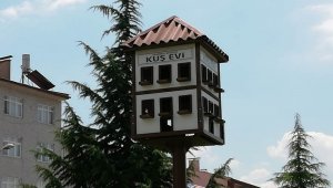 Safranbolu evi tarzında kuş yuvası