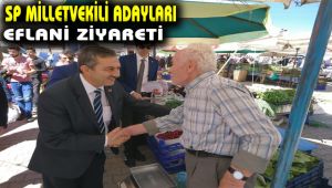 SP milletvekili adayları eflani ziyareti