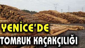 Yenice'de tomruk kaçakçılığı