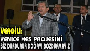 YENİCE HES PROJESİNİ BİZ DURDURUR DOĞAYI BOZDURMAYIZ