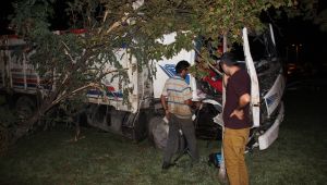 Kurbanlık hayvan yüklü kamyon kaza yaptı: 1 yaralı